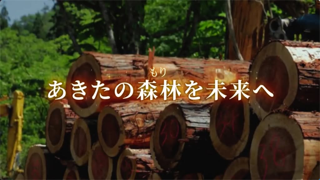 「SENTRIX-セントリックス」が手がけた森林のCM動画制作